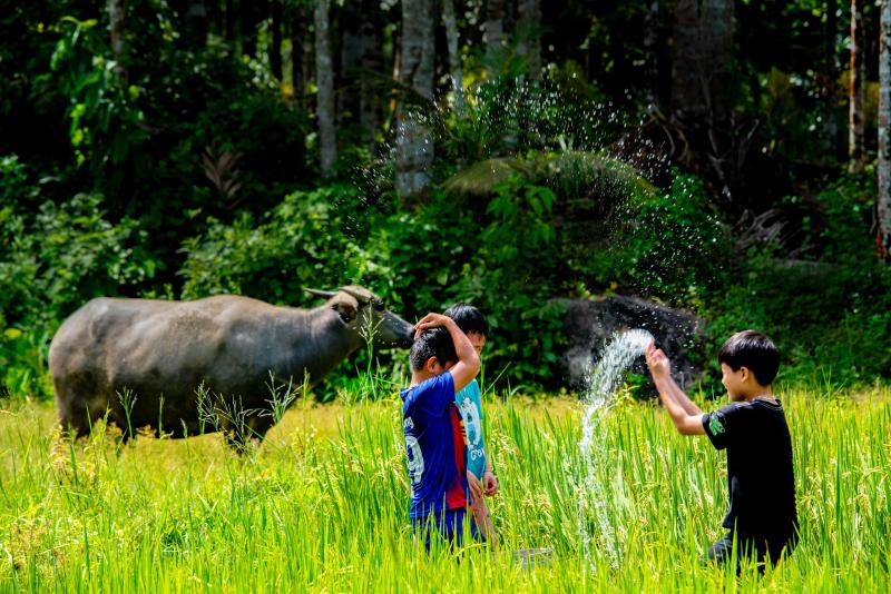 Về Lộc Yên – làng cổ bình yên trong top 4 đẹp nhất Việt Nam - Ảnh 8.