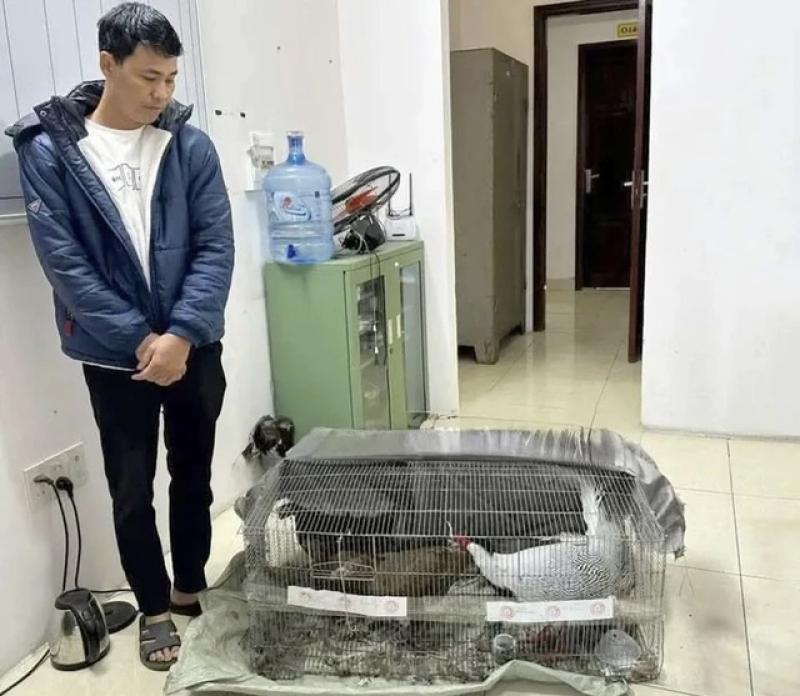 Bán gà lôi trắng lãnh 6 năm tù: Nhiều luật sư sẵn sàng bào chữa miễn phí- Ảnh 1. Bán gà lôi trắng lãnh 6 năm tù: Nhiều luật sư sẵn sàng bào chữa miễn phí- Ảnh 1.