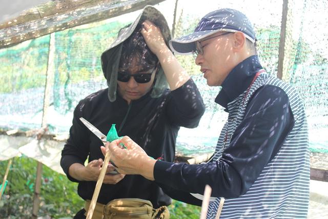 Nghiên cứu sâm Việt: Khám phá Điểm yếu chí tử cản trở phát triển bền vững - Ảnh 2. Nghiên cứu sâm Việt: Khám phá Điểm yếu chí tử cản trở phát triển bền vững - Ảnh 2.