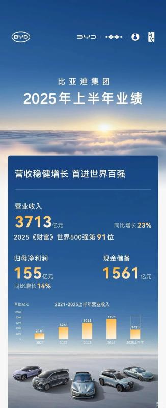 Báo cáo bán niên BYD 2025: Tăng trưởng ổn định và mở rộng toàn cầu - Ảnh 3.