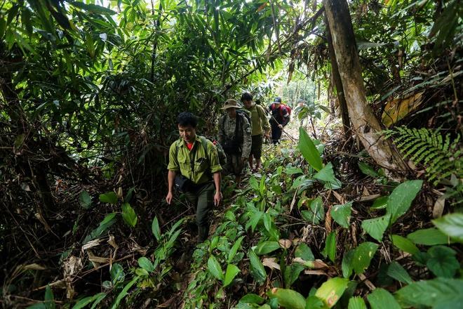 'Biệt đội bẫy ảnh' săn tìm dấu chân thú hoang- Ảnh 7. 'Biệt đội bẫy ảnh' săn tìm dấu chân thú hoang- Ảnh 7.