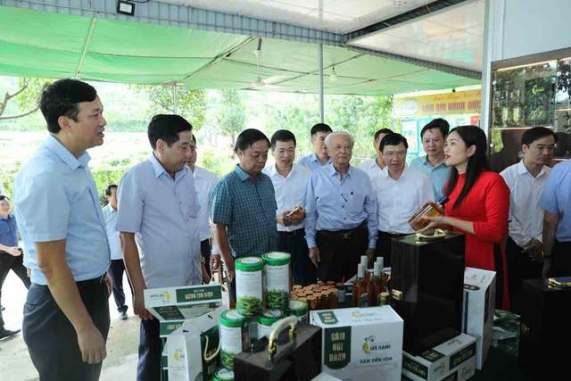 Dưới tán lá rừng , tương lai ngành dược liệu việt nam đang hé mở - Ảnh 1.