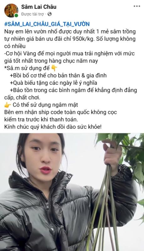 Nghiên cứu sâm Việt: Khám phá Điểm yếu chí tử cản trở phát triển bền vững - Ảnh 6. Nghiên cứu sâm Việt: Khám phá Điểm yếu chí tử cản trở phát triển bền vững - Ảnh 6.