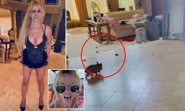 Britney Spears khiến khán giả lo ngại khi sống trong biệt thự toàn rác  - Ảnh 1.