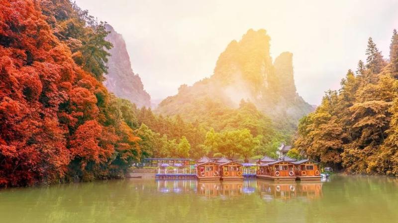 Điểm đến ở Việt Nam vào top ngắm lá mùa thu đẹp nhất châu Á- Ảnh 4. Điểm đến ở Việt Nam vào top ngắm lá mùa thu đẹp nhất châu Á- Ảnh 4.
