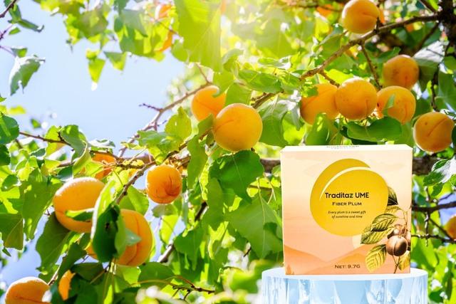 Traditaz Ume Fiber Plum - Thực phẩm giàu chất xơ, hỗ trợ cho hệ tiêu hóa - Ảnh 3.