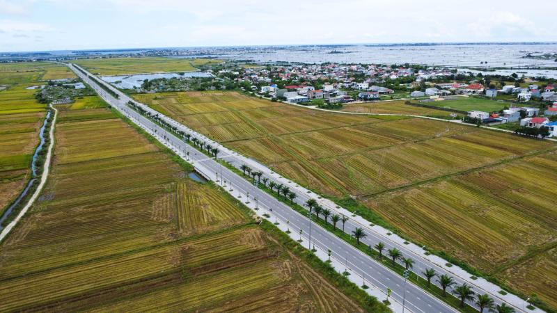 Hàng loạt cây xanh tại dự án đường hơn 370 tỉ ở Huế chết khô- Ảnh 7.