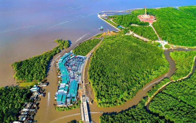  Chuỗi sự kiện quảng bá đưa thương hiệu du lịch Cà Mau vươn tầm - Ảnh 1.
