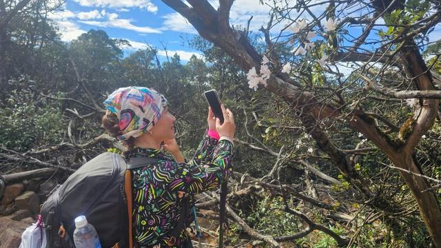 Quảng Trị có thêm tour du lịch trekking chinh phục đỉnh Voi Mẹp- Ảnh 3. Quảng Trị có thêm tour du lịch trekking chinh phục đỉnh Voi Mẹp- Ảnh 3.