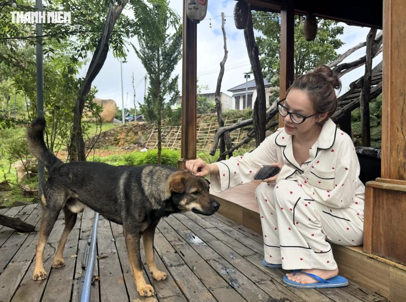 Bỏ phố về rừng, cặp vợ chồng xây khu làng chữa lành giữa rừng thông- Ảnh 3. Bỏ phố về rừng, cặp vợ chồng xây khu làng chữa lành giữa rừng thông- Ảnh 3.