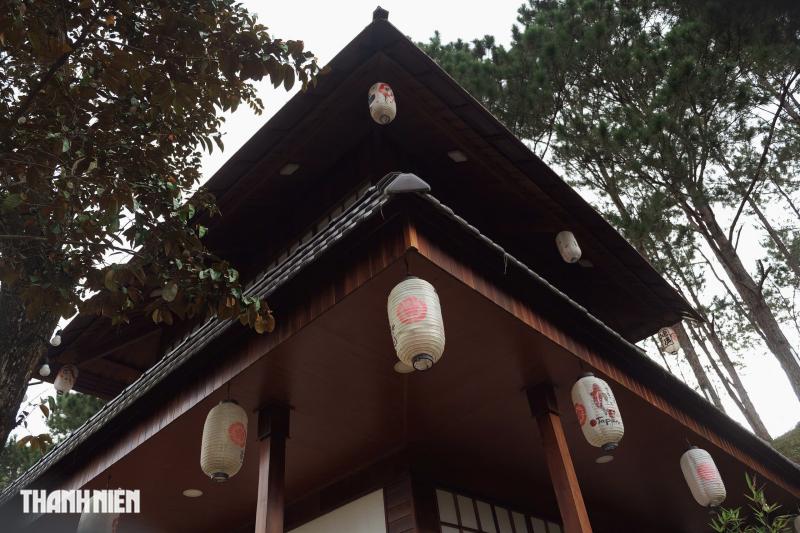 Bỏ phố về rừng, cặp vợ chồng xây khu làng chữa lành giữa rừng thông- Ảnh 10. Bỏ phố về rừng, cặp vợ chồng xây khu làng chữa lành giữa rừng thông- Ảnh 10.