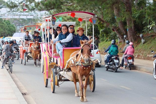P.Xuân Hương - Đà Lạt cấp giấy chứng nhận Hợp tác xã xe ngựa Đà Lạt- Ảnh 1. P.Xuân Hương - Đà Lạt cấp giấy chứng nhận Hợp tác xã xe ngựa Đà Lạt- Ảnh 1.