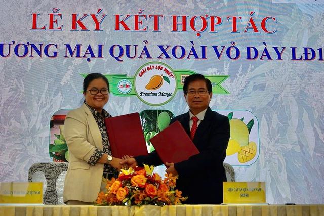 Xoài cát mới từ giống xoài Mỹ và Hòa Lộc chuẩn bị đưa ra thị trường- Ảnh 2. Xoài cát mới từ giống xoài Mỹ và Hòa Lộc chuẩn bị đưa ra thị trường- Ảnh 2.