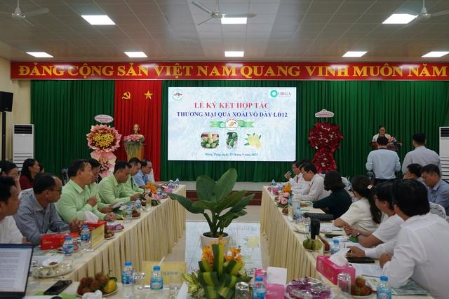 Xoài cát mới từ giống xoài Mỹ và Hòa Lộc chuẩn bị đưa ra thị trường- Ảnh 1. Xoài cát mới từ giống xoài Mỹ và Hòa Lộc chuẩn bị đưa ra thị trường- Ảnh 1.