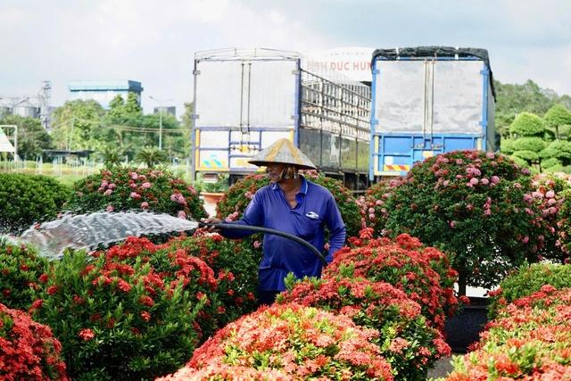 Dấu ấn Sa Đéc: Từ làng hoa, nhà cổ đến trung tâm du lịch Đồng Tháp- Ảnh 4. Dấu ấn Sa Đéc: Từ làng hoa, nhà cổ đến trung tâm du lịch Đồng Tháp- Ảnh 4.