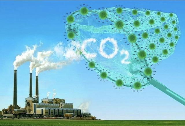 Việt Nam xây dựng hệ sinh thái xanh- Ảnh 2. Việt Nam xây dựng hệ sinh thái xanh- Ảnh 2.