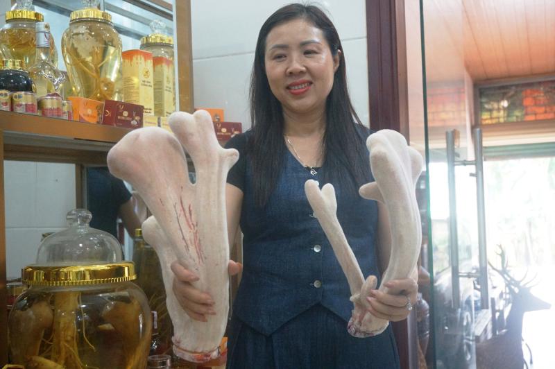 - Ảnh 4. - Ảnh 4.