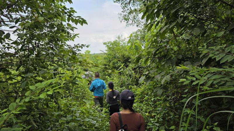 Hái nho rừng mưu sinh cạnh sân bay Long Thành - Ảnh 12. Hái nho rừng mưu sinh cạnh sân bay Long Thành - Ảnh 12.
