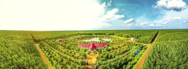 Cao su Chư Sê - Kampong Thom: Đơn vị đầu tiên trên thế giới đạt chứng nhận PEFC EUDR- Ảnh 2. Cao su Chư Sê - Kampong Thom: Đơn vị đầu tiên trên thế giới đạt chứng nhận PEFC EUDR- Ảnh 2.