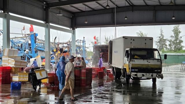 Quảng Ngãi: Ngư dân hối hả vào bờ bán cá trước khi bão số 10 đổ bộ - Ảnh 1.