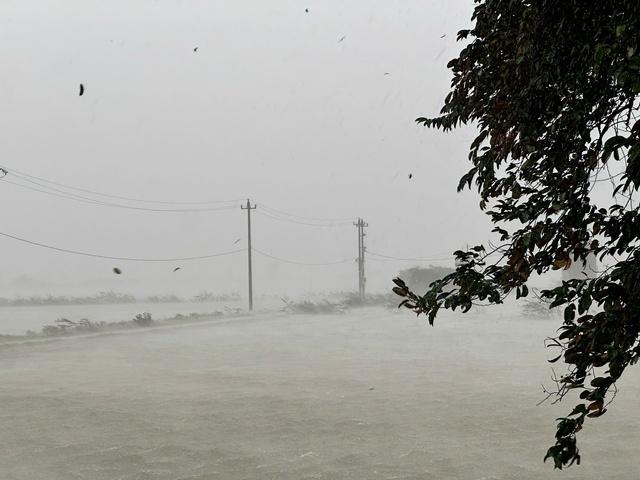Bão số 10: TP.Huế bắt đầu mưa lớn, gió rít từng cơn- Ảnh 1.