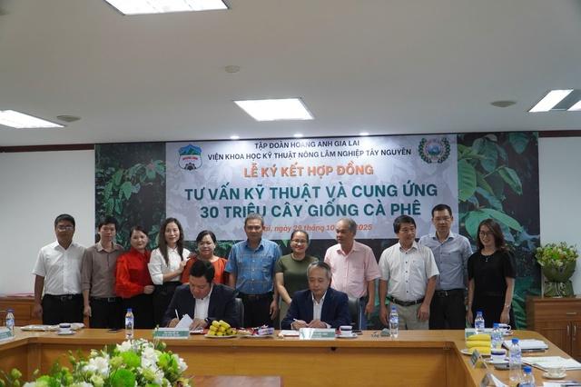 HAGL cà phê mở rộng diện tích trồng lên 10 ngàn ha tại Việt Nam và Lào - Ảnh 1. HAGL cà phê mở rộng diện tích trồng lên 10 ngàn ha tại Việt Nam và Lào - Ảnh 1.