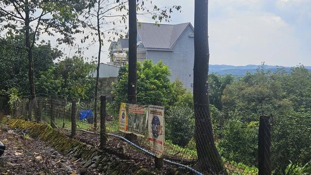 Kết luận điều tra vụ thảm sát 3 người trong 1 gia đình tại Đồng Nai- Ảnh 1.