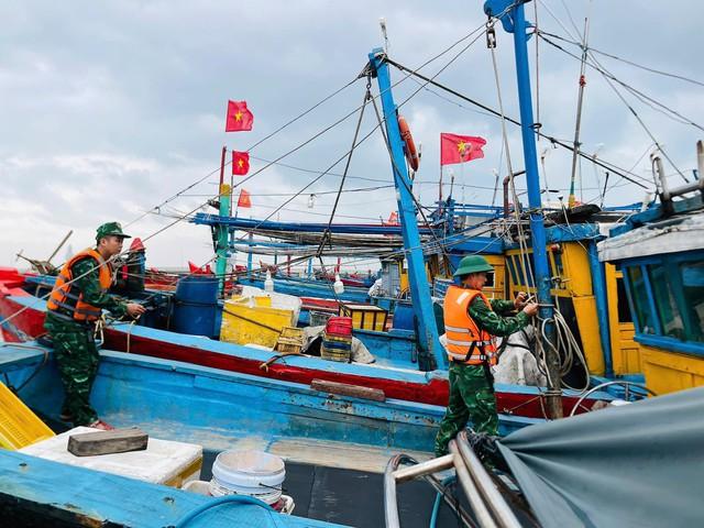 Ứng phó bão Fengshen (bão số 12): Quảng Ngãi bắn pháo hiệu khẩn cấp kêu gọi tàu thuyền vào bờ - Ảnh 2. Ứng phó bão Fengshen (bão số 12): Quảng Ngãi bắn pháo hiệu khẩn cấp kêu gọi tàu thuyền vào bờ - Ảnh 2.
