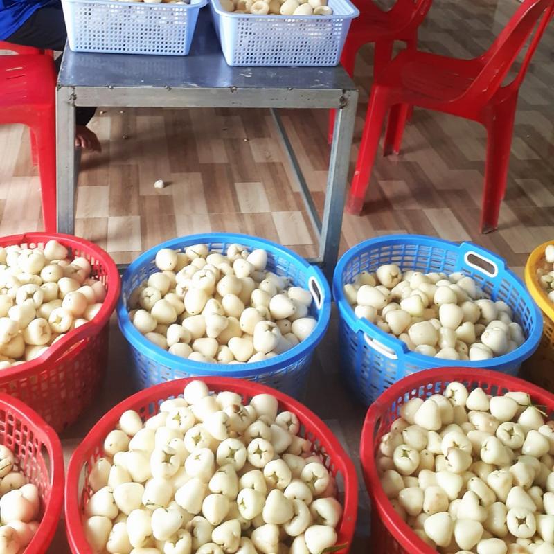 Người phụ nữ đưa mận trắng thành món mứt ‘trứ danh’  miền Tây - Ảnh 4.