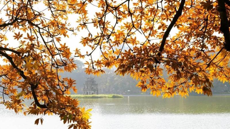 Rung động trước một Việt Nam tươi đẹp- Ảnh 1. Rung động trước một Việt Nam tươi đẹp- Ảnh 1.