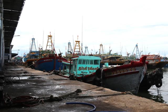 Lâm Đồng siết chặt quản lý đội tàu, quyết liệt ngăn chặn vi phạm IUU- Ảnh 2. Lâm Đồng siết chặt quản lý đội tàu, quyết liệt ngăn chặn vi phạm IUU- Ảnh 2.