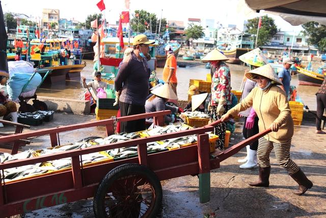 Lâm Đồng siết chặt quản lý đội tàu, quyết liệt ngăn chặn vi phạm IUU- Ảnh 3. Lâm Đồng siết chặt quản lý đội tàu, quyết liệt ngăn chặn vi phạm IUU- Ảnh 3.