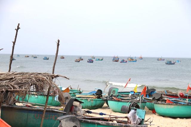Lâm Đồng siết chặt quản lý đội tàu, quyết liệt ngăn chặn vi phạm IUU- Ảnh 1. Lâm Đồng siết chặt quản lý đội tàu, quyết liệt ngăn chặn vi phạm IUU- Ảnh 1.