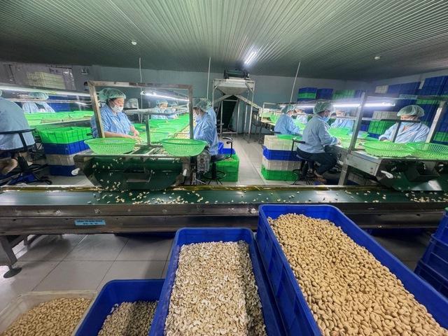 Những quy định tréo ngoe chờ tháo gỡ- Ảnh 1. Những quy định tréo ngoe chờ tháo gỡ- Ảnh 1.