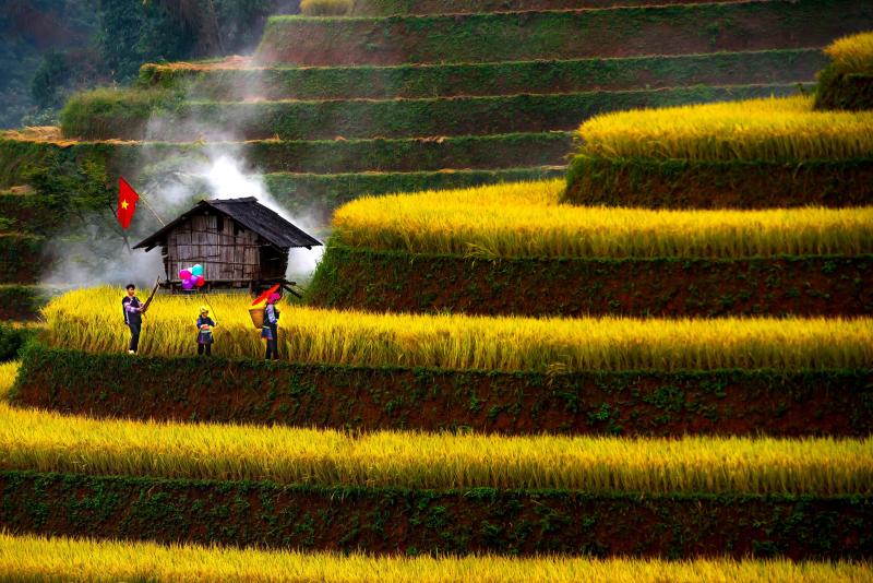 Đẹp nao lòng bức tranh mùa lúa chín ở Mù Cang Chải- Ảnh 2. Đẹp nao lòng bức tranh mùa lúa chín ở Mù Cang Chải- Ảnh 2.