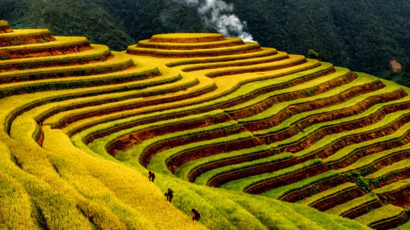 Đẹp nao lòng bức tranh mùa lúa chín ở Mù Cang Chải- Ảnh 5. Đẹp nao lòng bức tranh mùa lúa chín ở Mù Cang Chải- Ảnh 5.