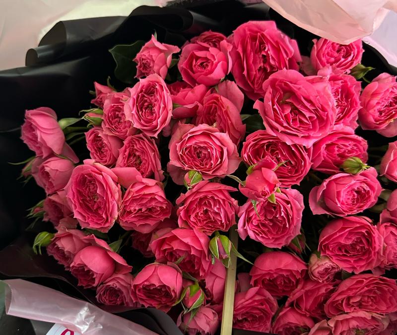 Ngày Phụ nữ Việt Nam 20.10: Mạng xã hội đang ngập tràn những lời chúc đặc biệt - Ảnh 2. Ngày Phụ nữ Việt Nam 20.10: Mạng xã hội đang ngập tràn những lời chúc đặc biệt - Ảnh 2.