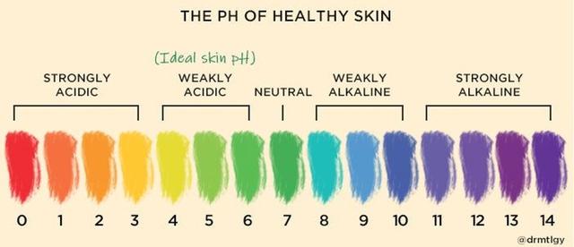  - Ảnh 1.