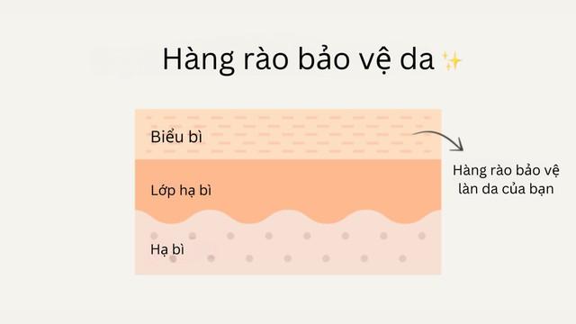 Hàng rào bảo vệ da là gì? Cách bảo toàn hàng rào da chuẩn y khoa- Ảnh 1. Hàng rào bảo vệ da là gì? Cách bảo toàn hàng rào da chuẩn y khoa- Ảnh 1.