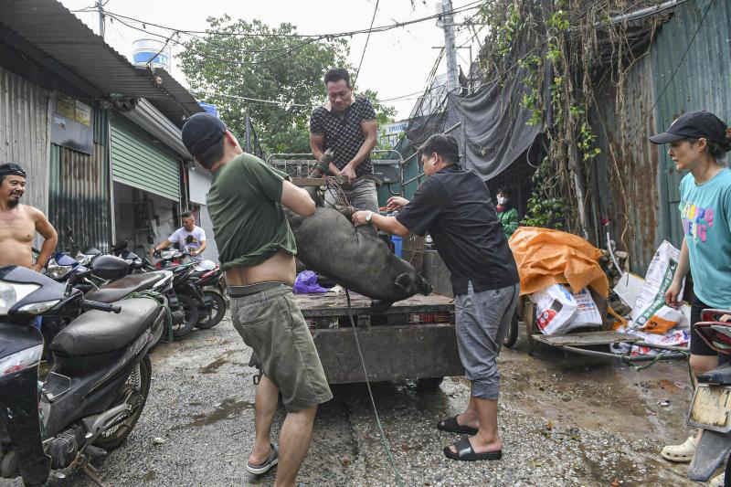 Người dân lo chạy lũ do nước sông Hồng dâng cao- Ảnh 14. Người dân lo chạy lũ do nước sông Hồng dâng cao- Ảnh 14.