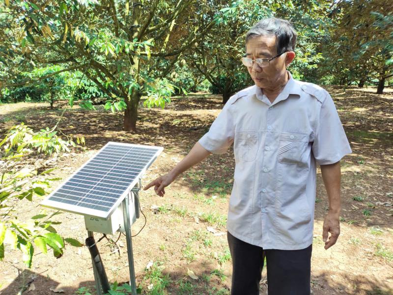 Đại nông trại sầu riêng Krông Pắc áp dụng công nghệ hiện đại trong sản xuất - Ảnh 2. Đại nông trại sầu riêng Krông Pắc áp dụng công nghệ hiện đại trong sản xuất - Ảnh 2.