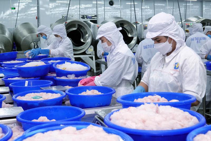 Khơi dậy khát vọng làm giàu trong xã hội với chính sách phát triển kinh tế tư nhân - Ảnh 2.