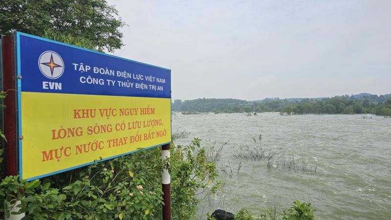 Cá 'ngửi' mùi nước khi thủy điện Trị An xả lũ, nhiều người mạo hiểm đi bắt- Ảnh 7. Cá 'ngửi' mùi nước khi thủy điện Trị An xả lũ, nhiều người mạo hiểm đi bắt- Ảnh 7.