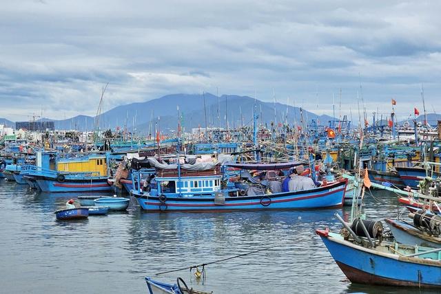 Khánh Hòa: 100% tàu cá trên 6 m đã cập nhật dữ liệu quốc gia- Ảnh 1. Khánh Hòa: 100% tàu cá trên 6 m đã cập nhật dữ liệu quốc gia- Ảnh 1.
