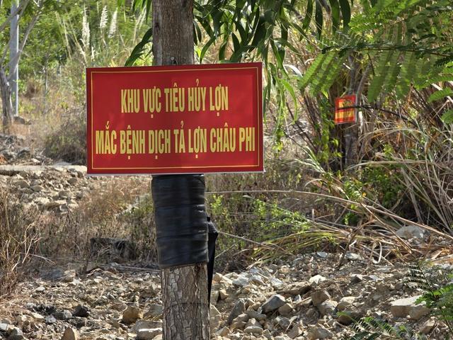 Khánh hòa tiêu hủy gần 40 tấn heo và gà do dịch bệnh bùng phát - Ảnh 2. Khánh hòa tiêu hủy gần 40 tấn heo và gà do dịch bệnh bùng phát - Ảnh 2.