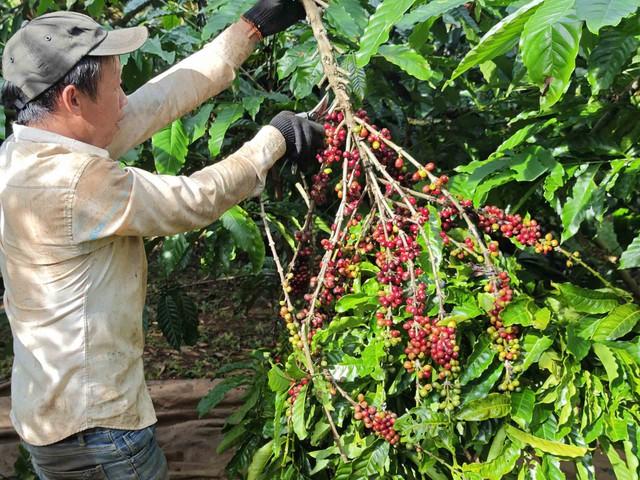 Mặt hàng nào sẽ hưởng lợi khi Mỹ miễn thuế đối ứng?- Ảnh 2. Mặt hàng nào sẽ hưởng lợi khi Mỹ miễn thuế đối ứng?- Ảnh 2.