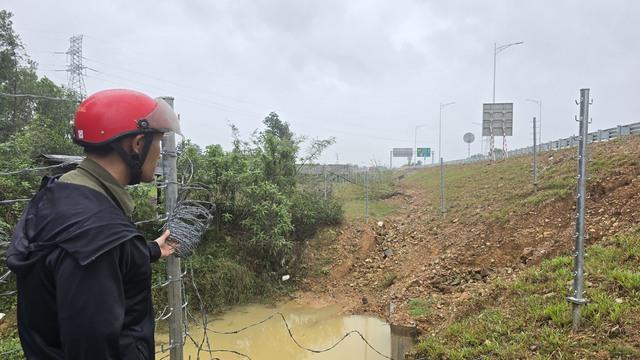 Thực hư việc người dân tháo rào để bò đi vào cao tốc Vạn Ninh - Cam Lộ- Ảnh 4. Thực hư việc người dân tháo rào để bò đi vào cao tốc Vạn Ninh - Cam Lộ- Ảnh 4.
