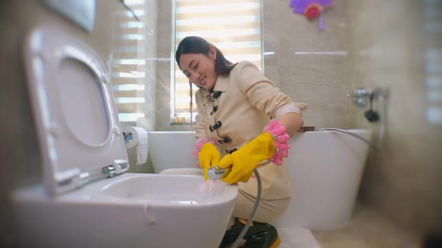 - Ảnh 3. Hoa hậu Lương Thùy Linh mang profile 'khủng' đi xin làm 'giúp việc' - Ảnh 3.