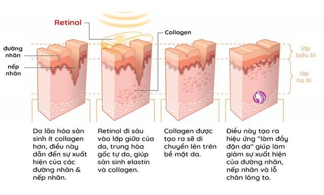 Retinol là gì mà khiến da lão hóa 'chậm lại' sau vài tuần dùng?- Ảnh 4. Retinol là gì mà khiến da lão hóa 'chậm lại' sau vài tuần dùng?- Ảnh 4.