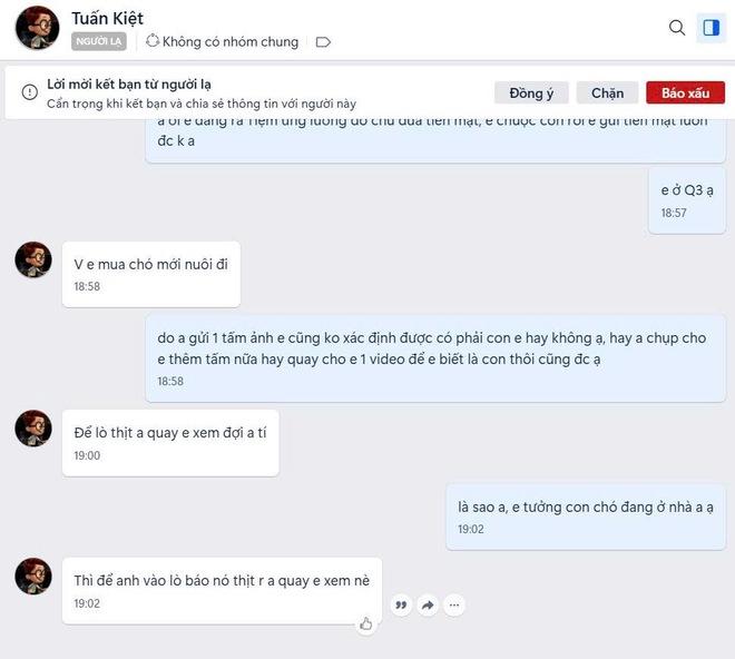 Nhức nhối trộm chó, mèo ở TP.HCM - Kỳ 2: Dùng AI tạo chó giả để lừa tiền chuộc- Ảnh 9. Nhức nhối trộm chó, mèo ở TP.HCM - Kỳ 2: Dùng AI tạo chó giả để lừa tiền chuộc- Ảnh 9.